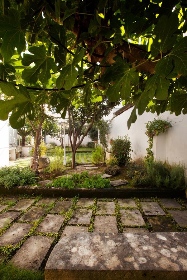 La Naca Della Taranta B&B Galatina Exteriér fotografie